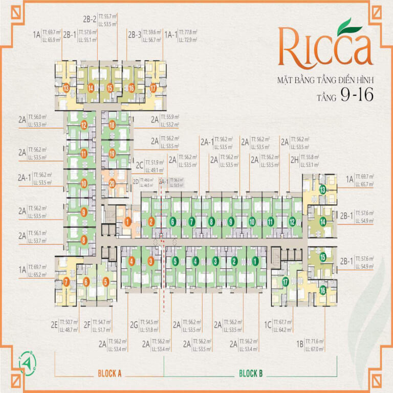 Ricca Ricca